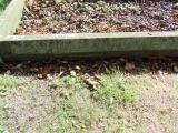 image of grave number 583217